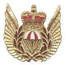 Wings & Trade Specialist Badges