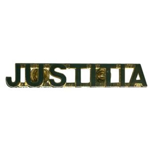 LEGAL BRANCH SHOULDER TITLES 