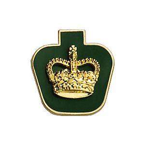 Warrant Officer Collar Rank (pair)