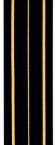 CAFC Braid, 2-1/2 Gold Bars (mtr)