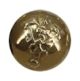 Military Button