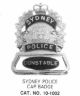 10-1002 Municipal Police Cap Badge with Cage
