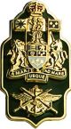Brigade Chief Warrant Officer Collar Rank Metal Green