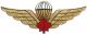 Parachutist Wing, Red Maple Leaf, Metal