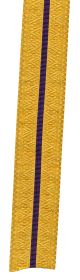 Gold Braid with 1 Royal Purple Stripe (mtr)