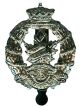 Insigne de képi British Columbia Regiment