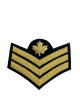 Sergeant Cloth Rank Badge 3 chevrons Braid Green