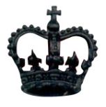 Black 6-1038 Rank Crown w/ screw post (pair)