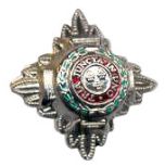Silver 6-1028S Rank Pip w/ push pins (pair)
