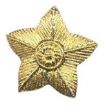 5-Pointed Star 6-1030G w/ screw post (pair)