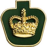 Warrant Officer Collar Rank (pair)