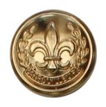 Fire Button