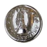 Tunic button