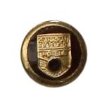 Tunic button