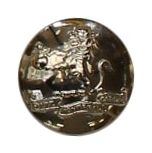 Tunic button
