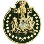 Canadian Armed Forces Chief Warrant Officer Collar Rank (pair)