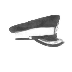 2-3001 RCMP Inspector