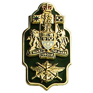Formation Chief Warrant Officer Collar Rank (pair)