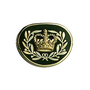 Master Warrant Officer Collar Rank (pair)