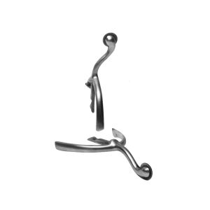 Swan-Neck Spurs (pr)