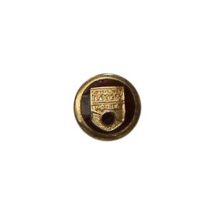 Tunic button