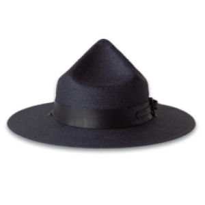 Wide Brimmed Mesh Pointed Hat