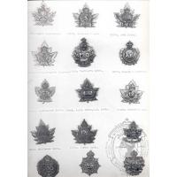 Canadian Expeditionary Force Badges 16

Date: 04/01/2004
Views: 3607