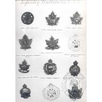 Canadian Expeditionary Force Badges 19

Date: 04/01/2004
Views: 2279