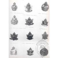 Canadian Expeditionary Force Badges 22

Date: 04/01/2004
Views: 2237