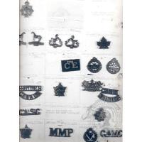 Canadian Expeditionary Force Badges 27

Date: 04/01/2004
Views: 2069