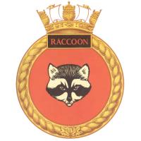 H.M.C.S. Raccoon

