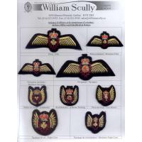 Airforce Officer and Qualification Badges

Insignes d'officiers et de compétences d'aviation

Date: 08/09/2007
Views: 2415