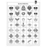 Rank Insignia

Date: 04/07/2004
Views: 4398