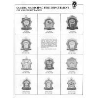 Quebec Municipal Fire Department Badges

Date: 04/07/2004
Views: 2917