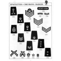 Epaulettes, Chevrons & Badges

Date: 04/07/2004
Views: 5395